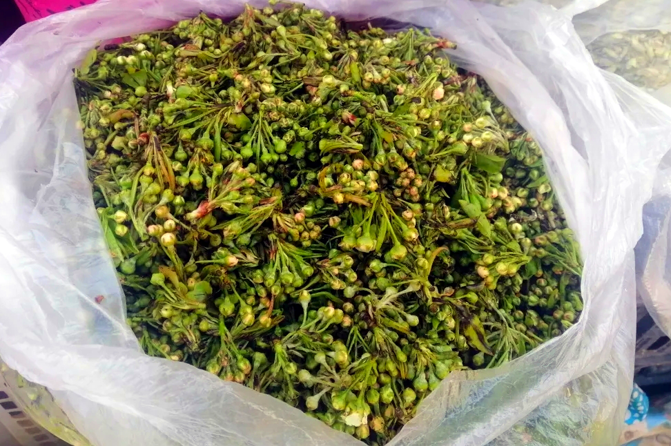 微信截图_20250226101722_副本.png